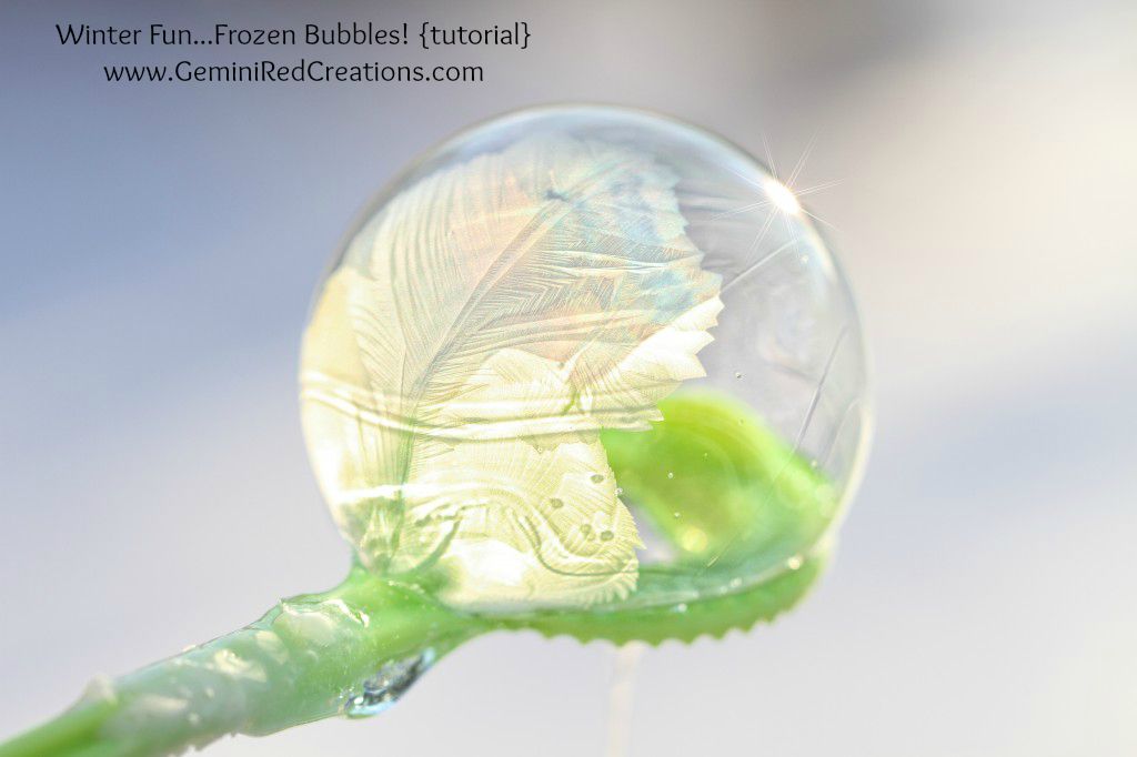Frozen Bubbles (3)