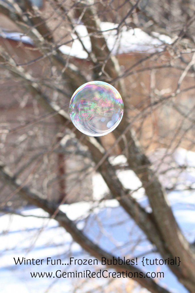 Frozen Bubbles (4)