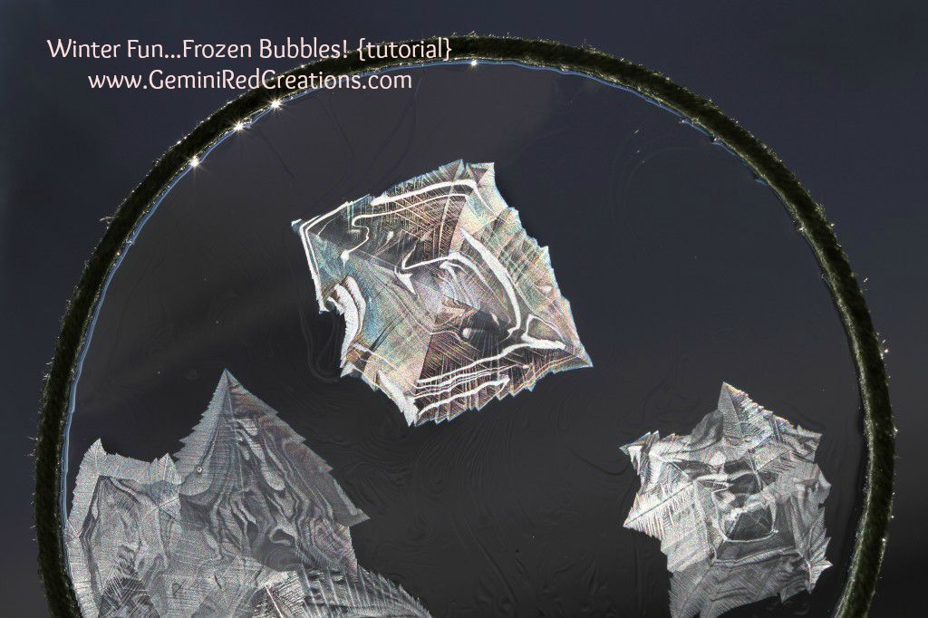 Frozen Bubbles (7)