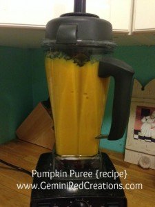 Pumpkin Puree (9v2)