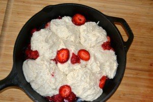 Strawberry Shortcake (3)