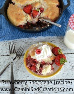 Strawberry Shortcake (4) v2