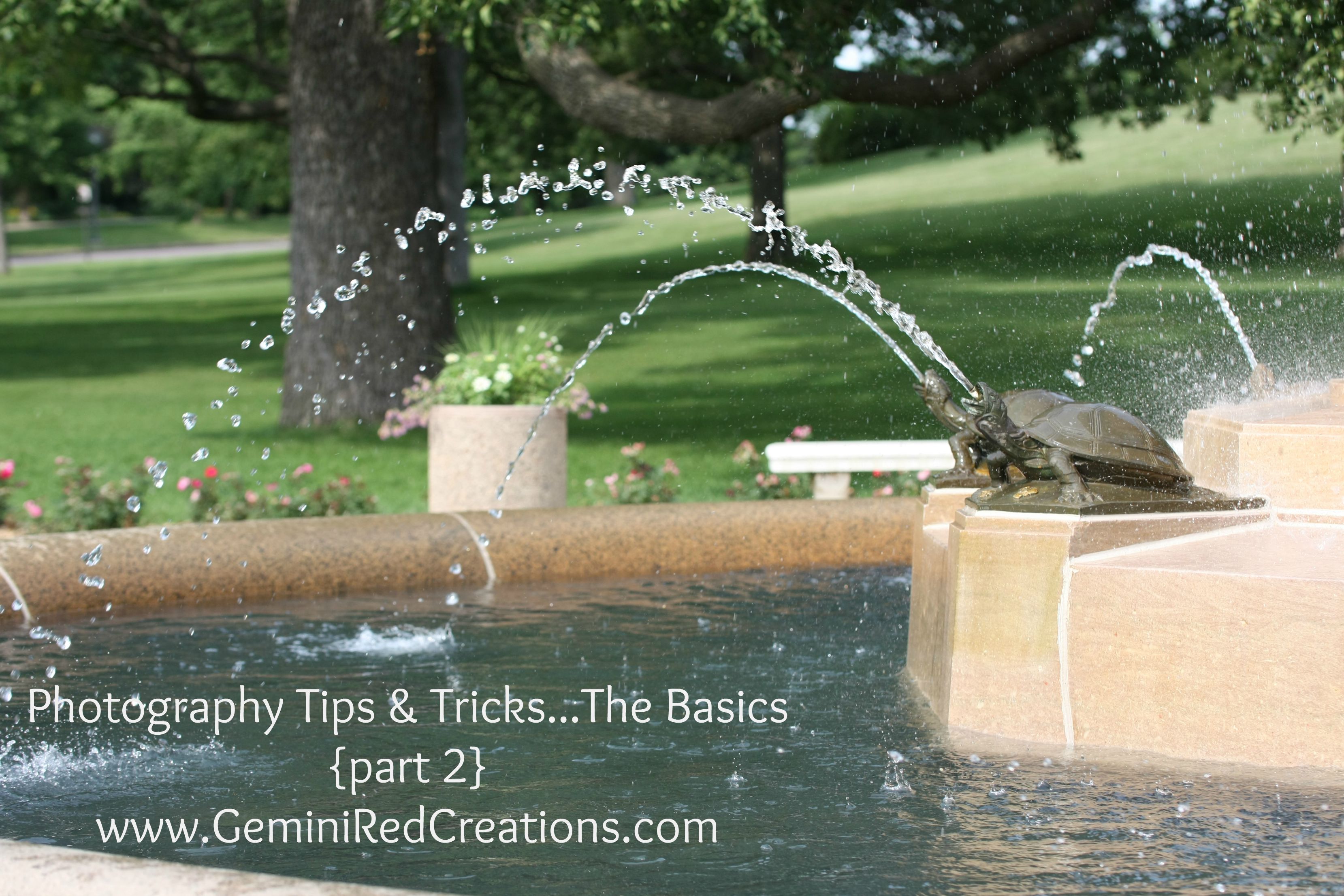 Plandid Photography:  Tips And Tricks For Effortless, Stunning Shots - ri5if7x