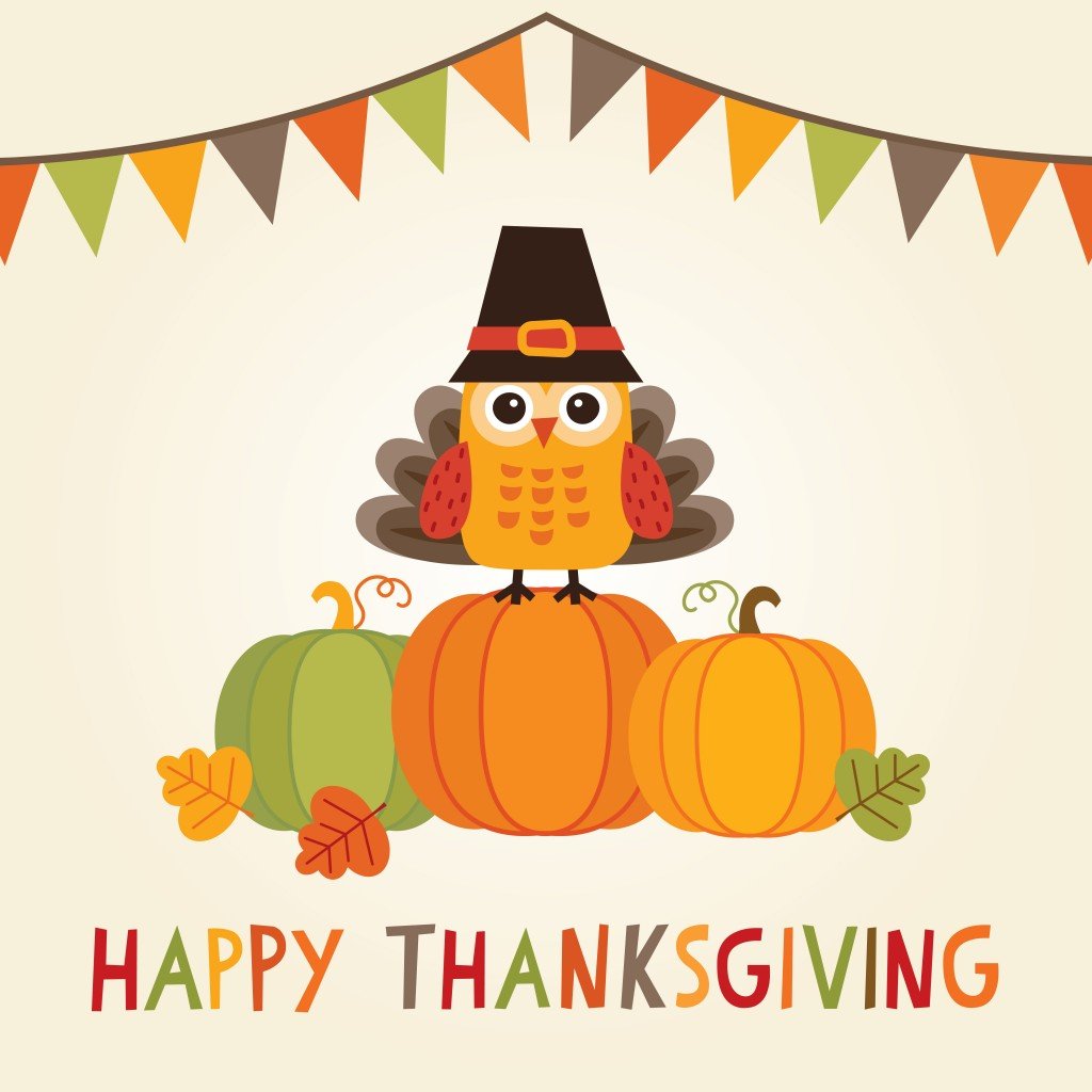 happy thanksgiving card owl turkey costume bunting flags
